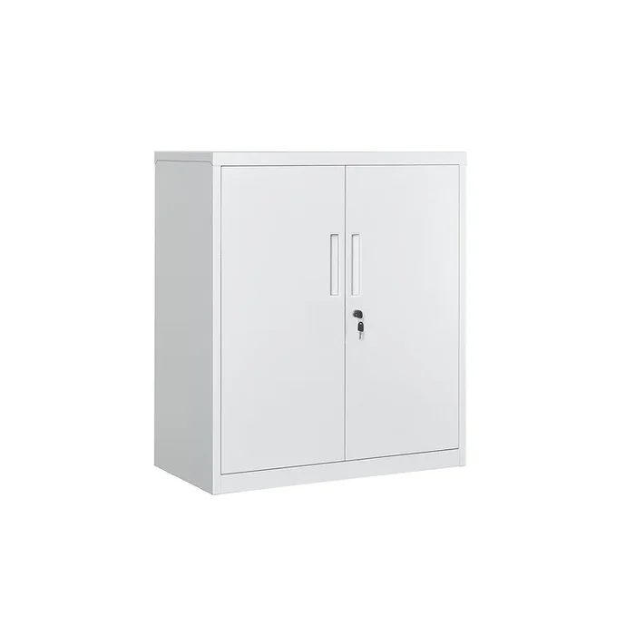 Archivador de Oficina Armario Multifuncional con Cerradura de Acero Gris-SONGMICS