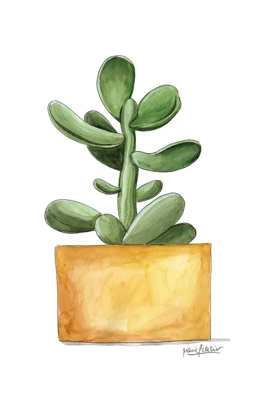 CACTUS PELETIER AMARILLO 90×60 – Drimdeco