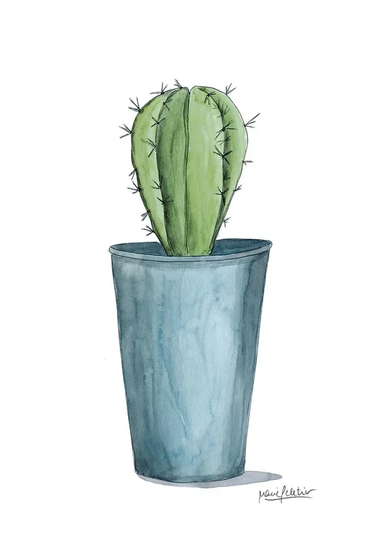 CACTUS PELETIER AZUL 60×40 – Drimdeco