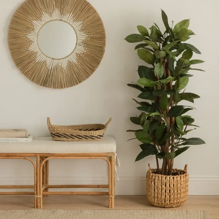 Classic planta artificial 150 cm Ficuss – Kenay Home