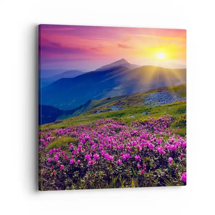 Cuadro sobre lienzo – Impresión de Imagen – … Y el aroma a hierbas está por todas partes – 40×40 cm