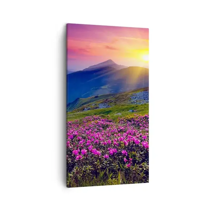 Cuadro sobre lienzo – Impresión de Imagen – … Y el aroma a hierbas está por todas partes – 45×80 cm