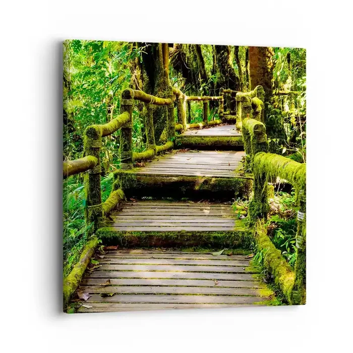 Cuadro sobre lienzo – Impresión de Imagen – A través de un corredor verde – 40×40 cm