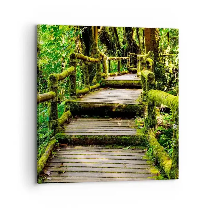 Cuadro sobre lienzo – Impresión de Imagen – A través de un corredor verde – 70×70 cm