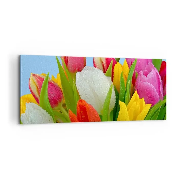 Cuadro sobre lienzo – Impresión de Imagen – Arco iris floral en gotas de rocío – 100×40 cm