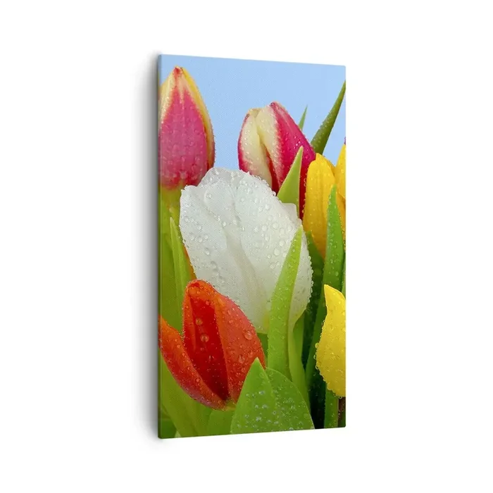 Cuadro sobre lienzo – Impresión de Imagen – Arco iris floral en gotas de rocío – 55×100 cm