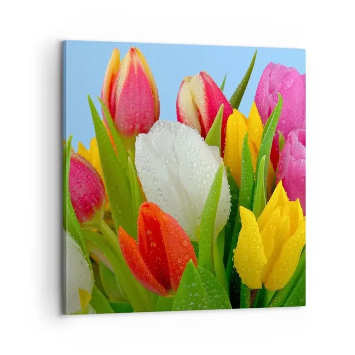 Cuadro sobre lienzo – Impresión de Imagen – Arco iris floral en gotas de rocío – 60×60 cm