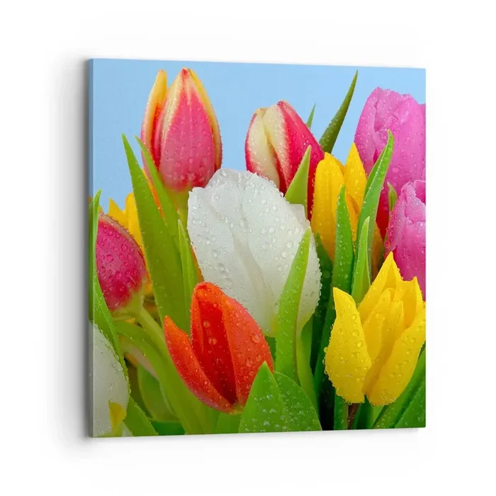 Cuadro sobre lienzo – Impresión de Imagen – Arco iris floral en gotas de rocío – 70×70 cm