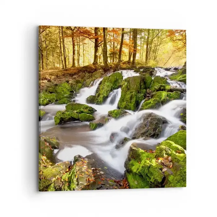 Cuadro sobre lienzo – Impresión de Imagen – Atravesando el bosque otoñal – 70×70 cm