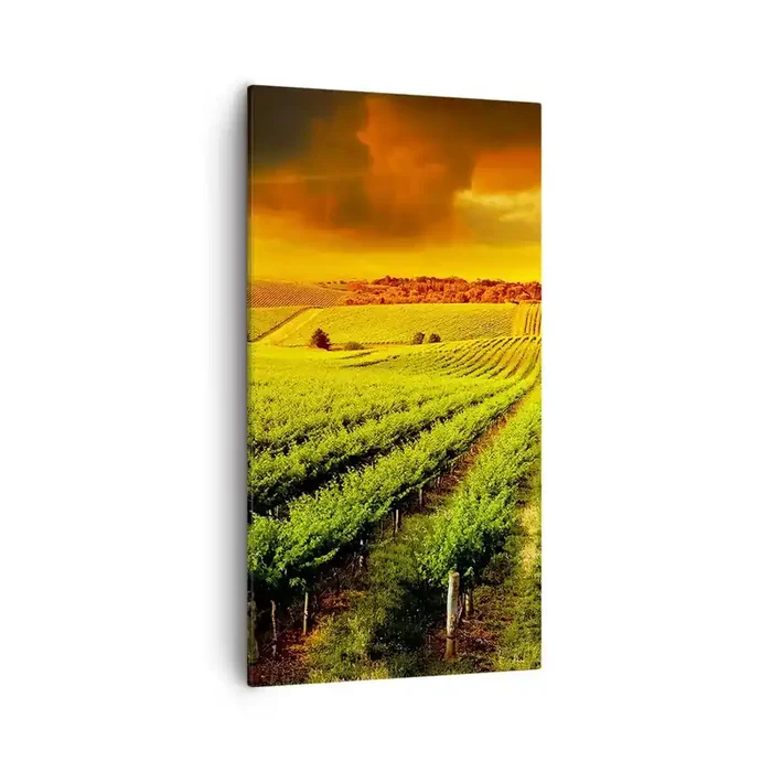 Cuadro sobre lienzo – Impresión de Imagen – Bajo el sol de Australia – 55×100 cm