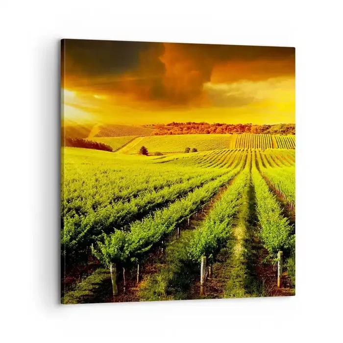 Cuadro sobre lienzo – Impresión de Imagen – Bajo el sol de Australia – 60×60 cm