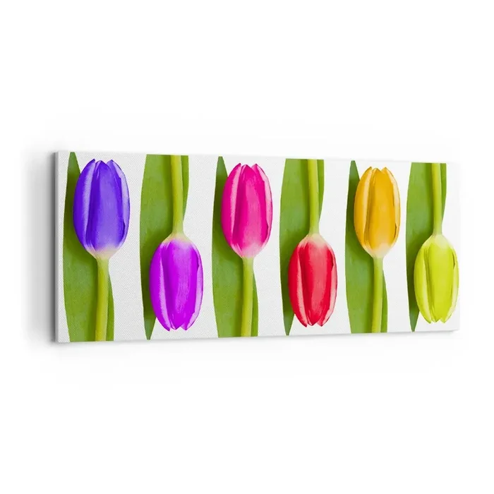 Cuadro sobre lienzo – Impresión de Imagen – Composición del arco iris – 100×40 cm