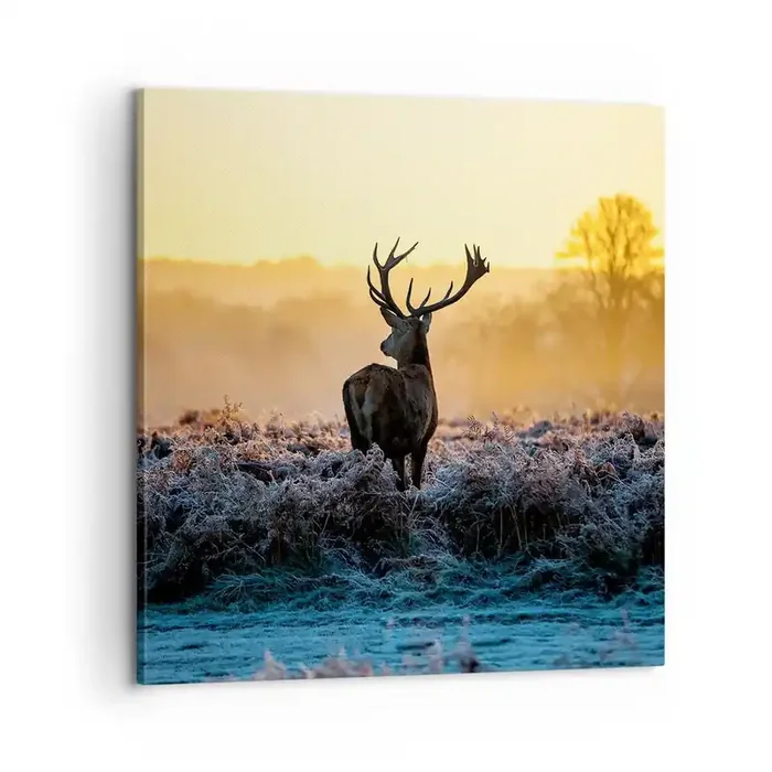 Cuadro sobre lienzo – Impresión de Imagen – Coronado en sus propios dominios – 60×60 cm