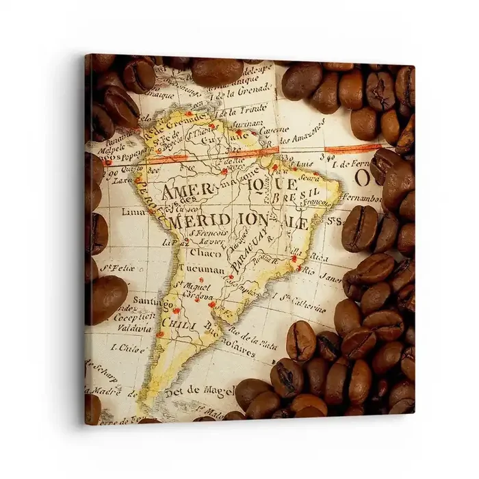 Cuadro sobre lienzo – Impresión de Imagen – ¿De dónde viene el mejor café? – 30×30 cm