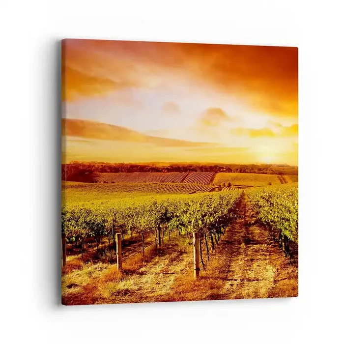 Cuadro sobre lienzo – Impresión de Imagen – Delicadamente afrutado con un toque de sol – 40×40 cm