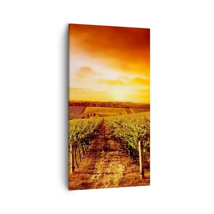 Cuadro sobre lienzo – Impresión de Imagen – Delicadamente afrutado con un toque de sol – 55×100 cm