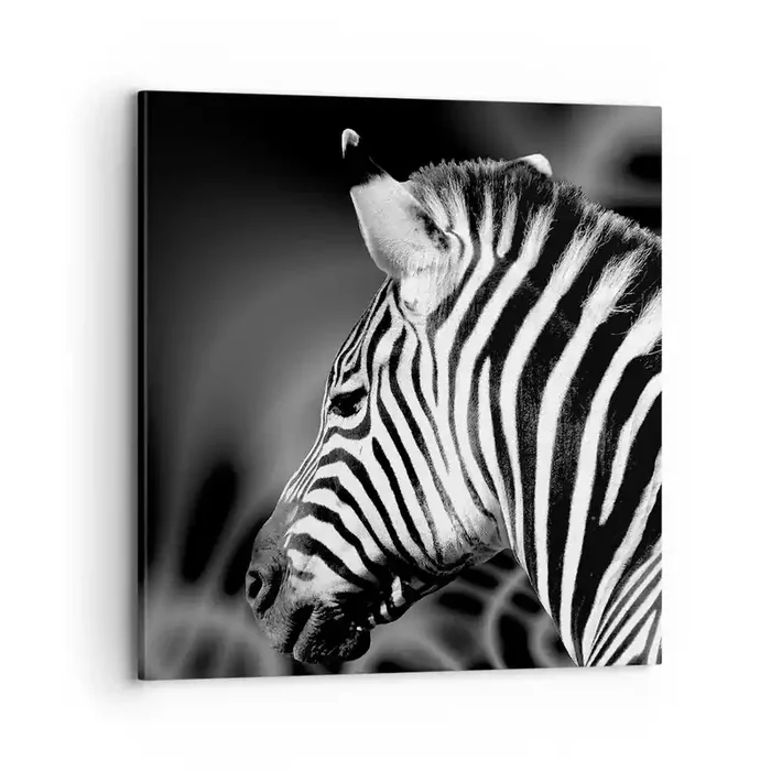 Cuadro sobre lienzo – Impresión de Imagen – El blanco es blanco, el negro es negro – 70×70 cm