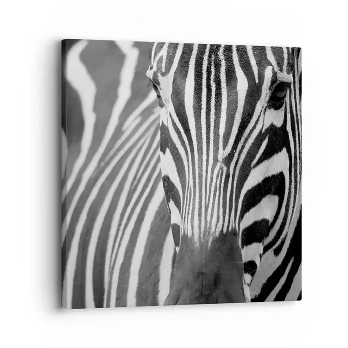 Cuadro sobre lienzo – Impresión de Imagen – El mundo es blanco y negro – 30×30 cm
