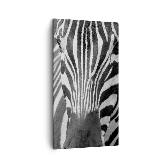 Cuadro sobre lienzo – Impresión de Imagen – El mundo es blanco y negro – 45×80 cm