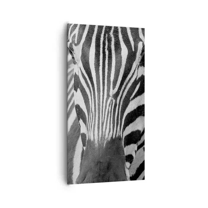 Cuadro sobre lienzo – Impresión de Imagen – El mundo es blanco y negro – 65×120 cm