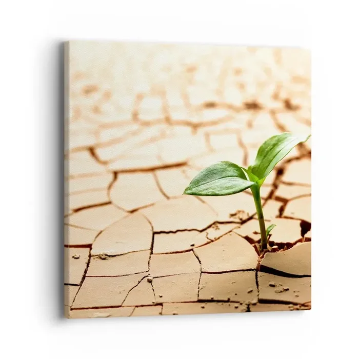 Cuadro sobre lienzo – Impresión de Imagen – El poder indomable de la vida – 40×40 cm