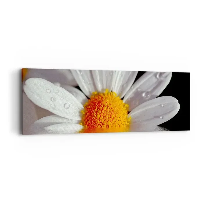 Cuadro sobre lienzo – Impresión de Imagen – El sol naciente de una margarita – 90×30 cm