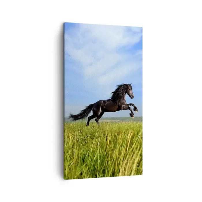 Cuadro sobre lienzo – Impresión de Imagen – Emocionante manifiesto de libertad – 45×80 cm