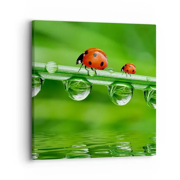 Cuadro sobre lienzo – Impresión de Imagen – En el camino todo el verano – 30×30 cm