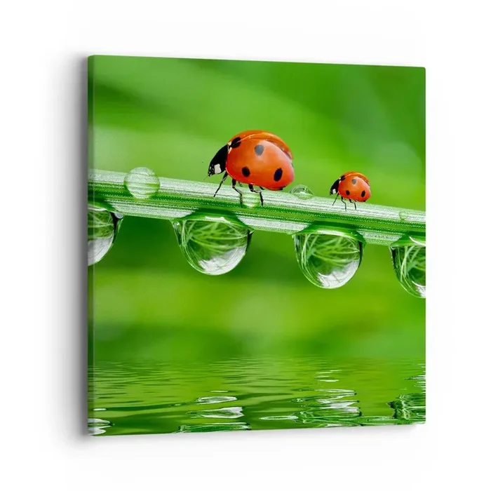 Cuadro sobre lienzo – Impresión de Imagen – En el camino todo el verano – 40×40 cm