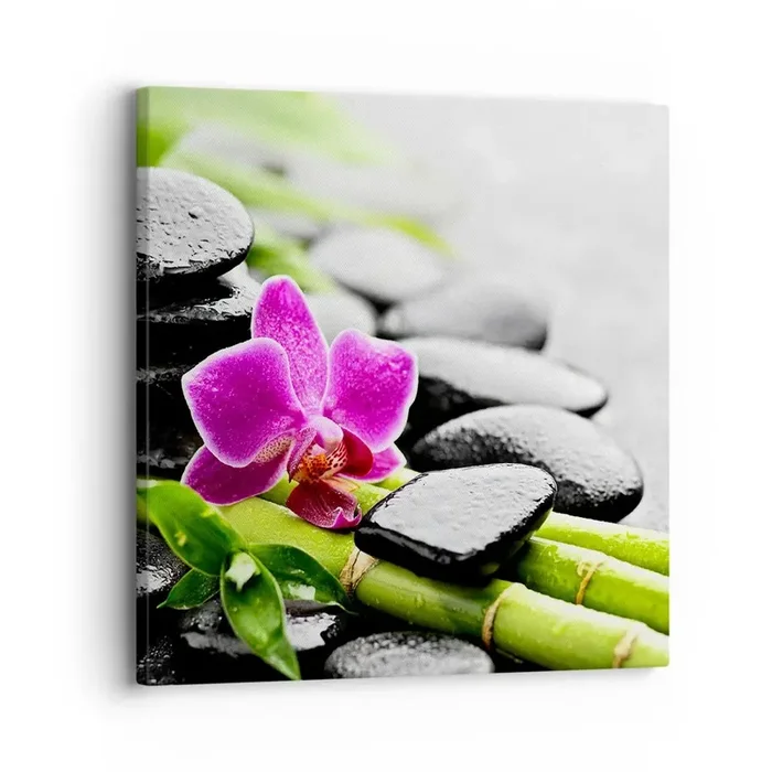 Cuadro sobre lienzo – Impresión de Imagen – En equilibrio pacífico – 30×30 cm