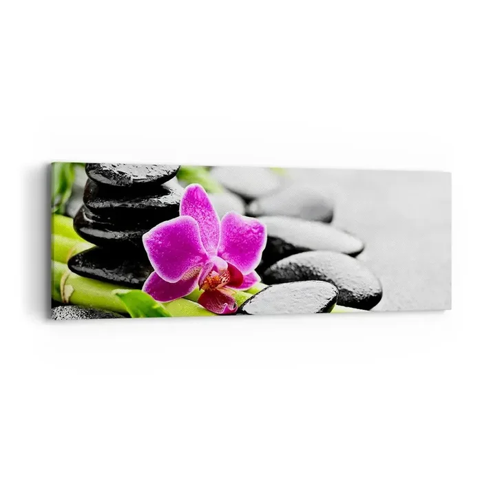 Cuadro sobre lienzo – Impresión de Imagen – En equilibrio pacífico – 90×30 cm