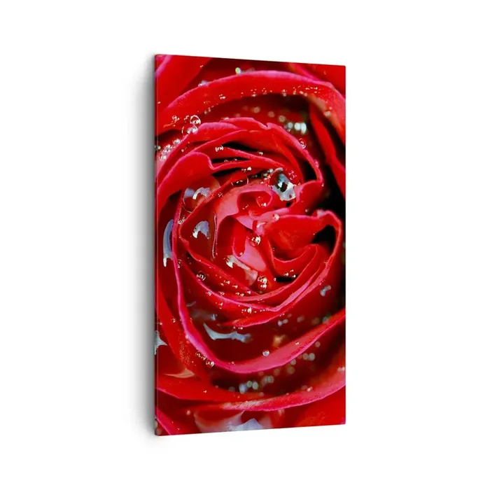Cuadro sobre lienzo – Impresión de Imagen – En gotas de rocío – 45×80 cm