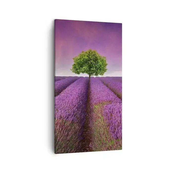 Cuadro sobre lienzo – Impresión de Imagen – En los campos de lavanda – 45×80 cm