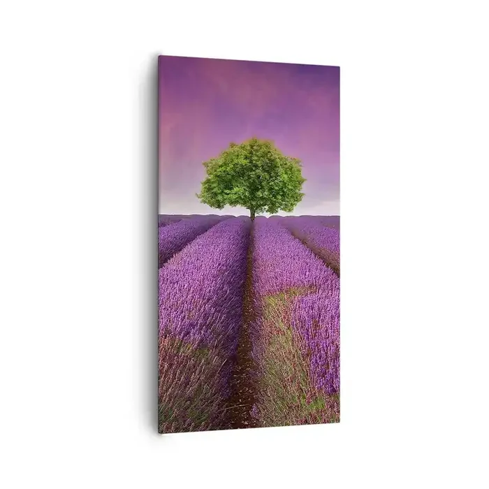 Cuadro sobre lienzo – Impresión de Imagen – En los campos de lavanda – 65×120 cm