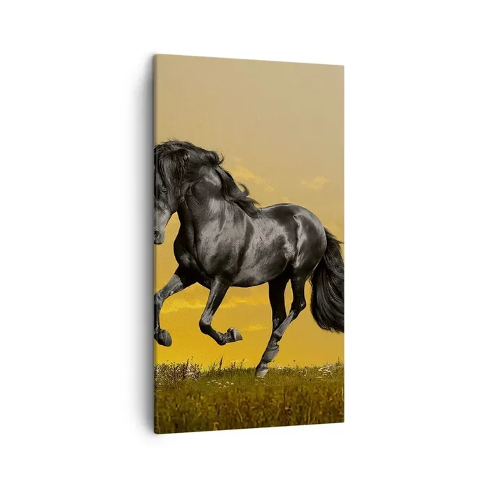 Cuadro sobre lienzo – Impresión de Imagen – Hermoso, libre y salvaje – 45×80 cm