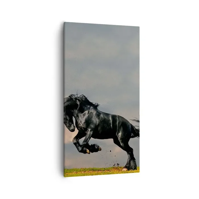 Cuadro sobre lienzo – Impresión de Imagen – Hermoso y libre – 55×100 cm
