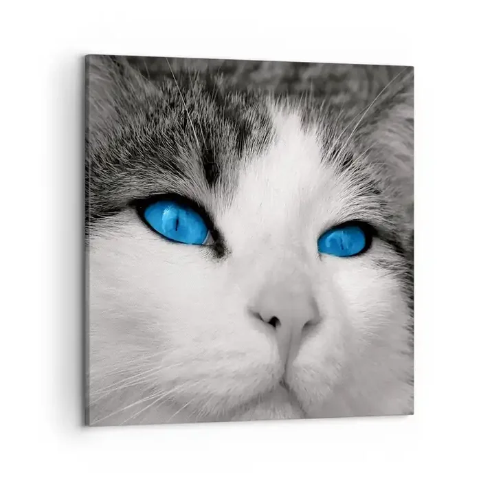 Cuadro sobre lienzo – Impresión de Imagen – Inusual de ojos azules – 50×50 cm