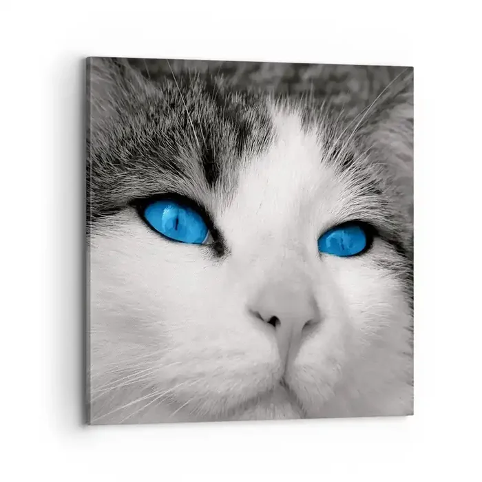 Cuadro sobre lienzo – Impresión de Imagen – Inusual de ojos azules – 70×70 cm