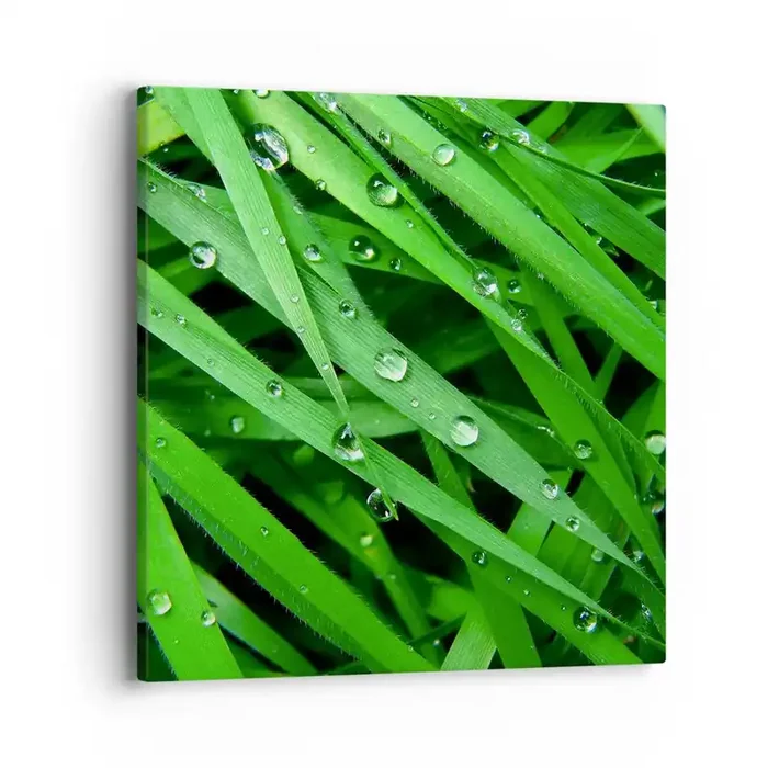 Cuadro sobre lienzo – Impresión de Imagen – Jugar al verde – 40×40 cm