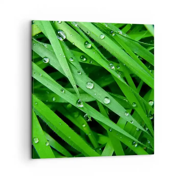 Cuadro sobre lienzo – Impresión de Imagen – Jugar al verde – 50×50 cm