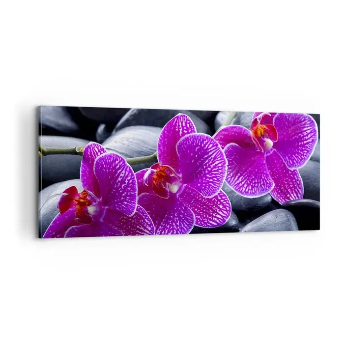 Cuadro sobre lienzo – Impresión de Imagen – Las piedras brillan con deleite – 100×40 cm