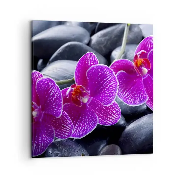 Cuadro sobre lienzo – Impresión de Imagen – Las piedras brillan con deleite – 50×50 cm