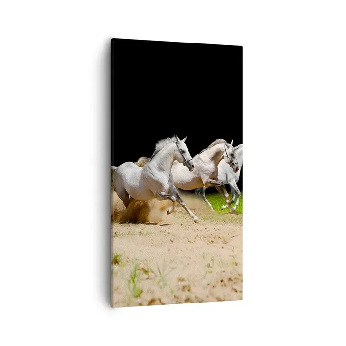 Cuadro sobre lienzo – Impresión de Imagen – Las tres Gracias – 55×100 cm