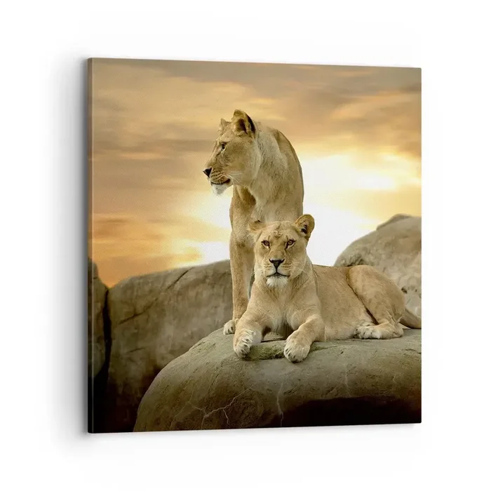 Cuadro sobre lienzo – Impresión de Imagen – Majestuosidad real – 70×70 cm