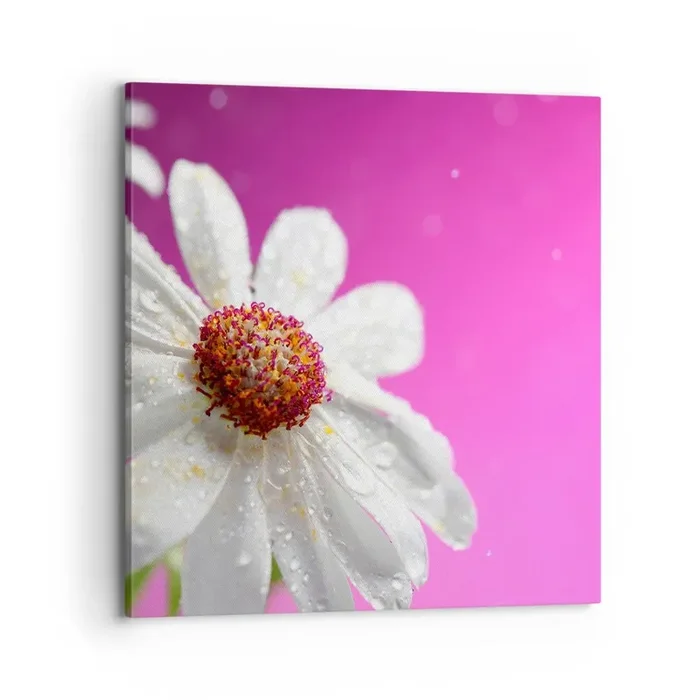 Cuadro sobre lienzo – Impresión de Imagen – Modesto en su belleza – 70×70 cm