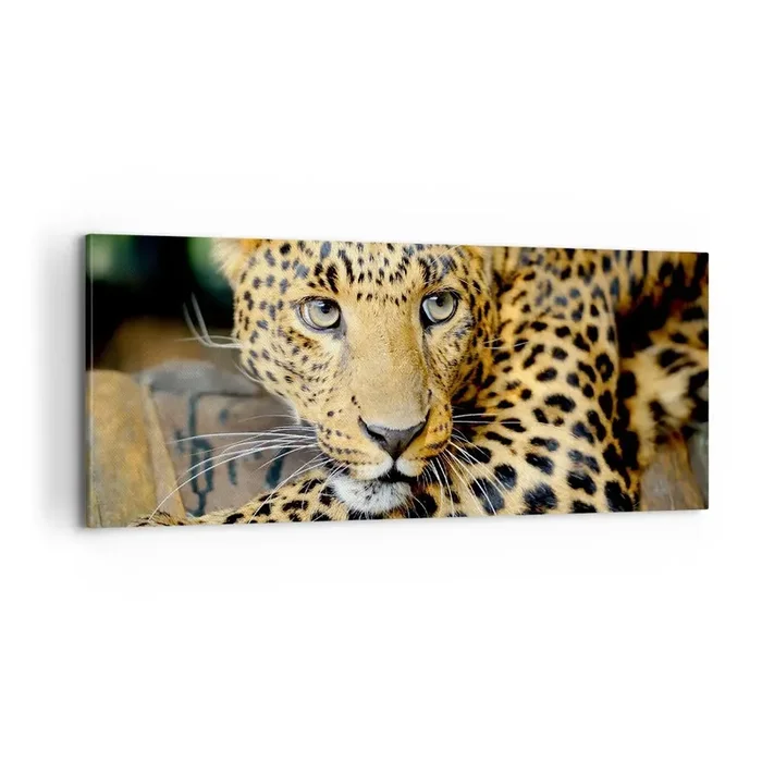 Cuadro sobre lienzo – Impresión de Imagen – No tengas miedo, vamos – 100×40 cm