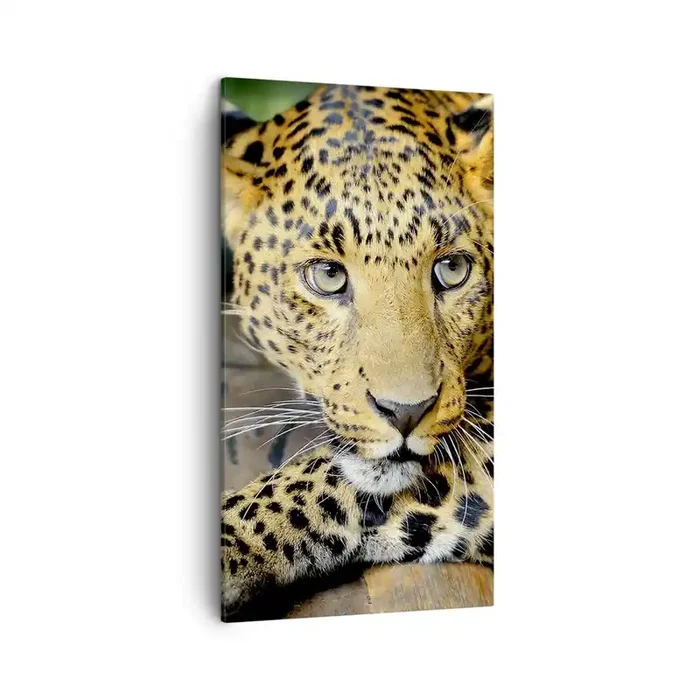Cuadro sobre lienzo – Impresión de Imagen – No tengas miedo, vamos – 45×80 cm