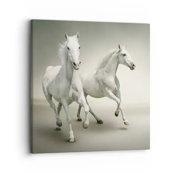 Cuadro sobre lienzo – Impresión de Imagen – ¡Poder blanco! – 30×30 cm