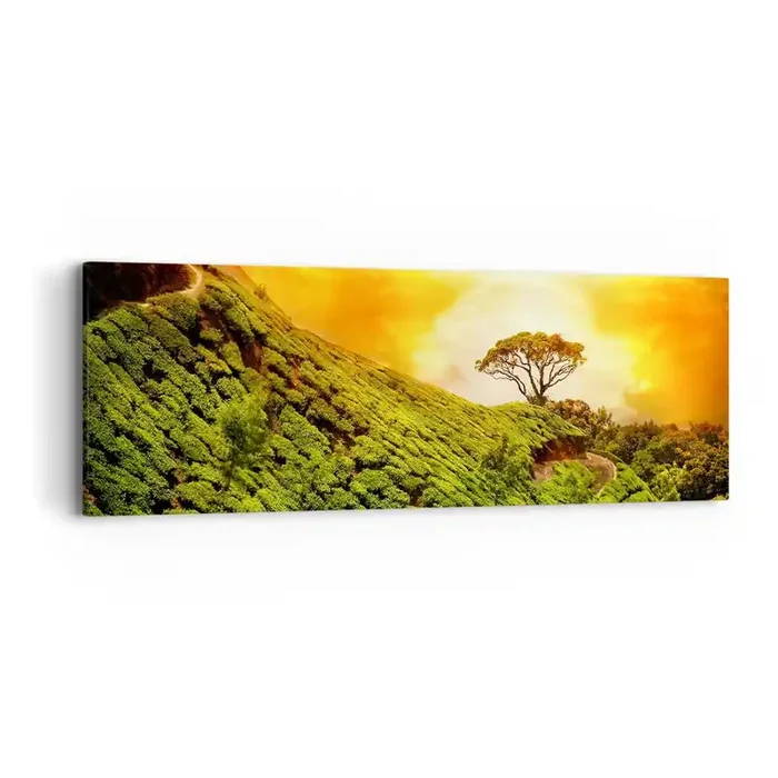 Cuadro sobre lienzo – Impresión de Imagen – Por un camino sinuoso, por una verde pendiente – 90×30 cm