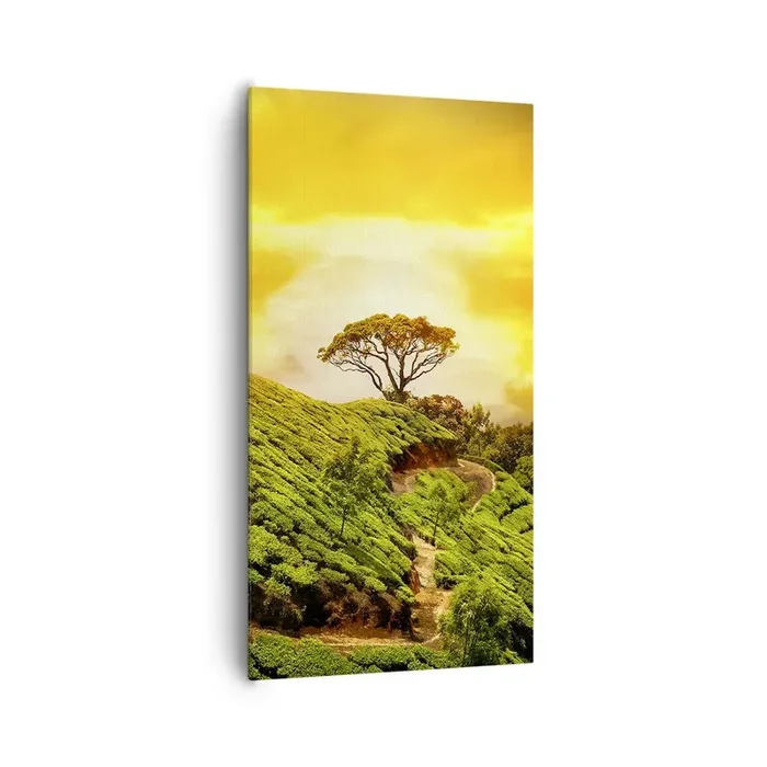 Cuadro sobre lienzo – Impresión de Imagen – Por un camino sinuoso, por una verde pendiente – 65×120 cm